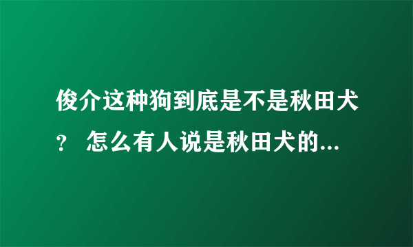 俊介这种狗到底是不是秋田犬？ 怎么有人说是秋田犬的幼犬。 我怎么看不像~