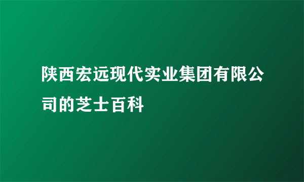 陕西宏远现代实业集团有限公司的芝士百科