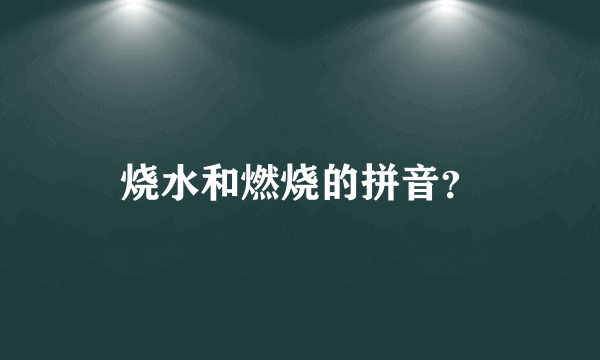 烧水和燃烧的拼音？