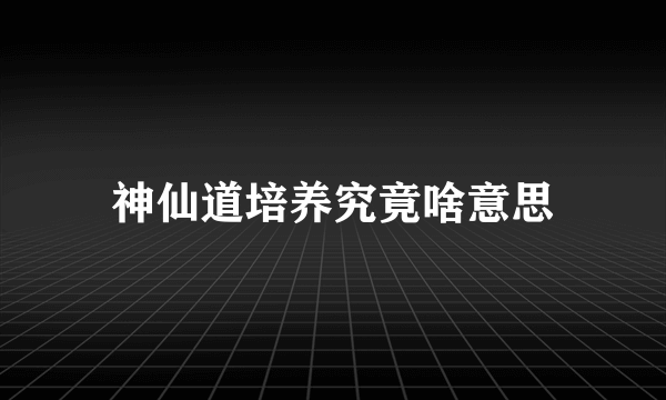 神仙道培养究竟啥意思