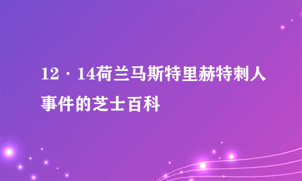 12·14荷兰马斯特里赫特刺人事件的芝士百科