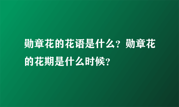 勋章花的花语是什么？勋章花的花期是什么时候？