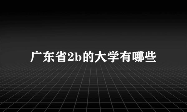 广东省2b的大学有哪些