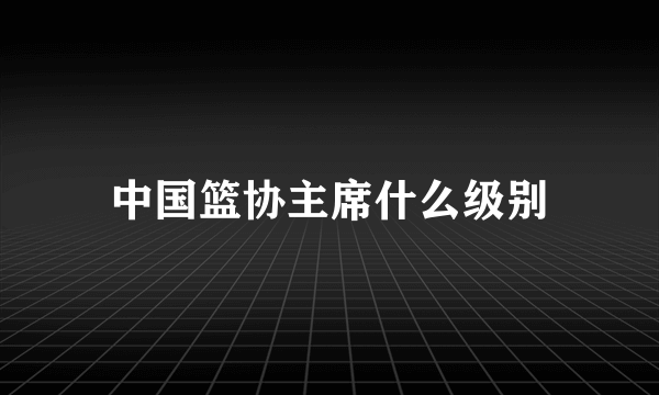 中国篮协主席什么级别