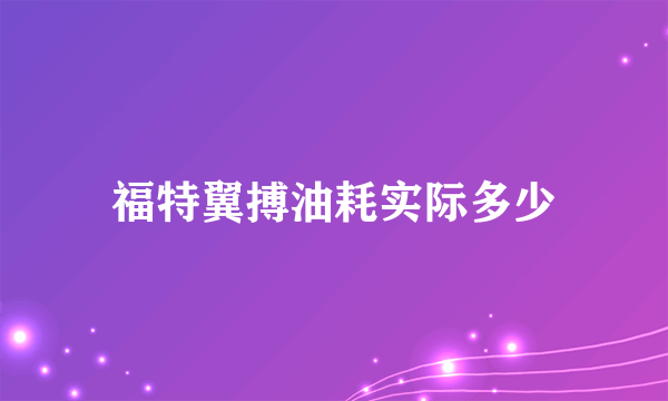 福特翼搏油耗实际多少