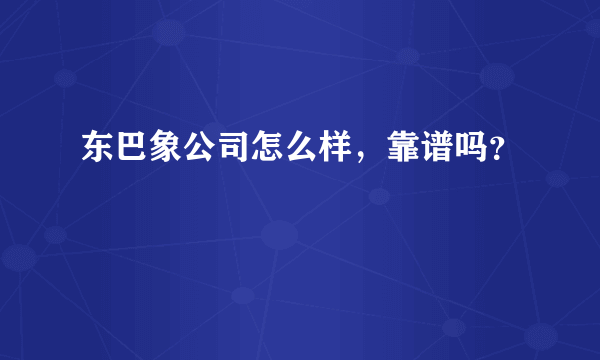 东巴象公司怎么样，靠谱吗？