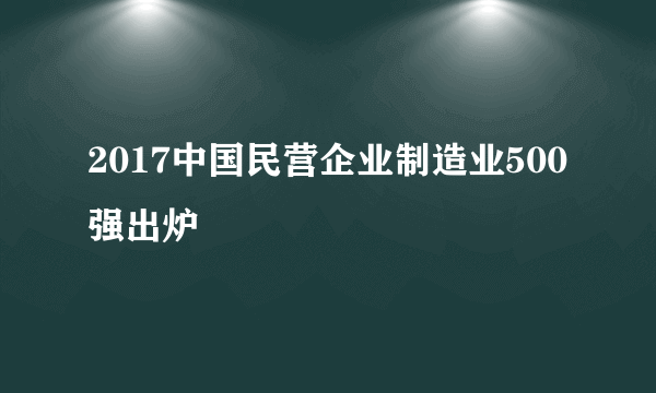 2017中国民营企业制造业500强出炉