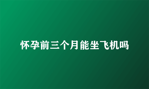 怀孕前三个月能坐飞机吗