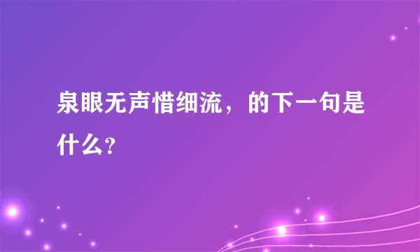 泉眼无声惜细流，的下一句是什么？