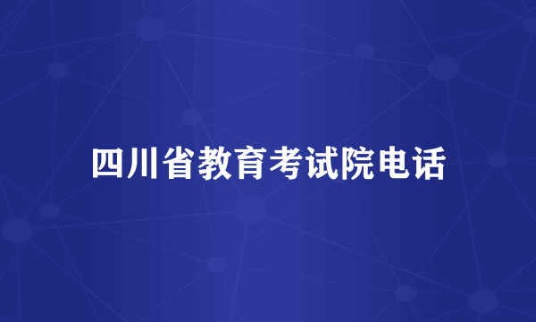 四川省教育考试院电话