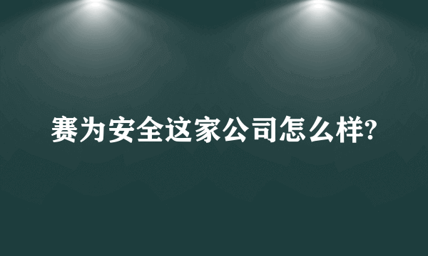 赛为安全这家公司怎么样?