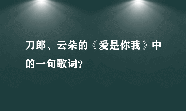 刀郎、云朵的《爱是你我》中的一句歌词？