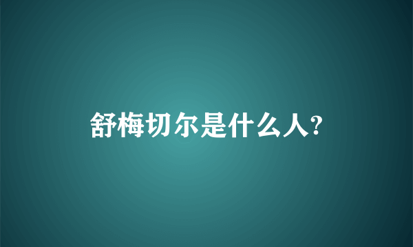 舒梅切尔是什么人?