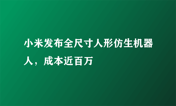 小米发布全尺寸人形仿生机器人，成本近百万