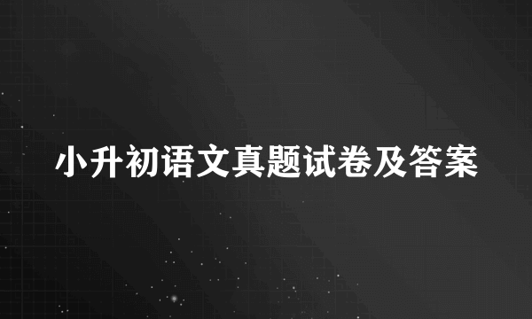 小升初语文真题试卷及答案