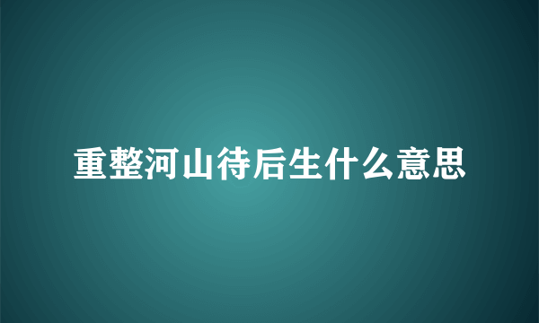 重整河山待后生什么意思