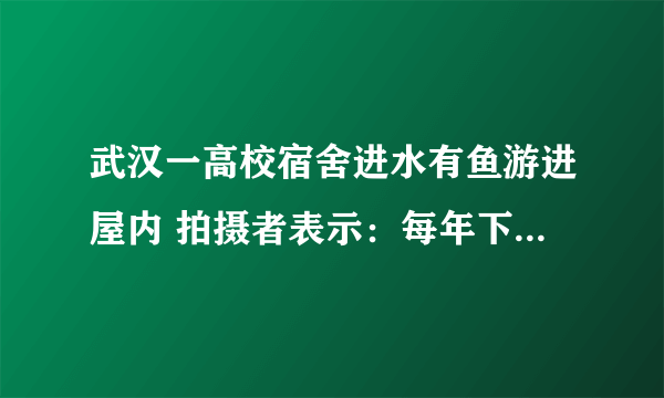 武汉一高校宿舍进水有鱼游进屋内 拍摄者表示：每年下大雨湖水上涨都会这样