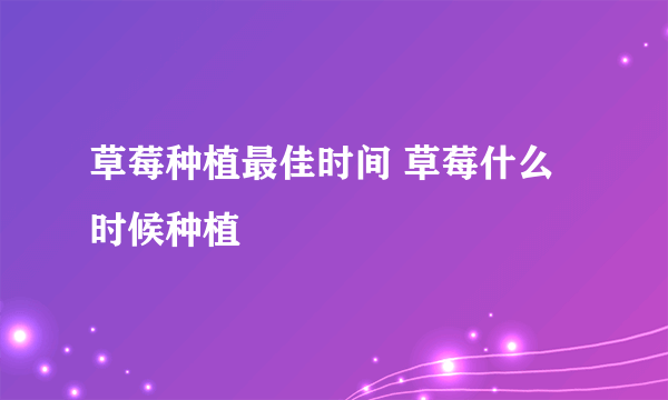 草莓种植最佳时间 草莓什么时候种植