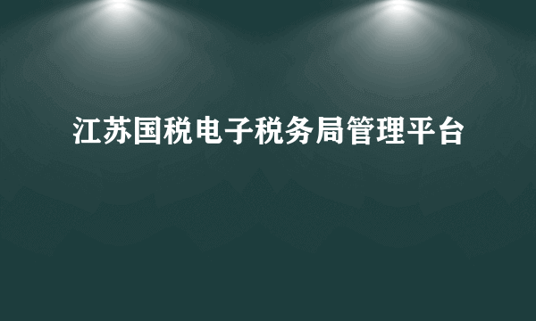 江苏国税电子税务局管理平台