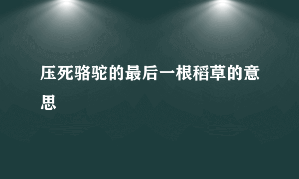 压死骆驼的最后一根稻草的意思