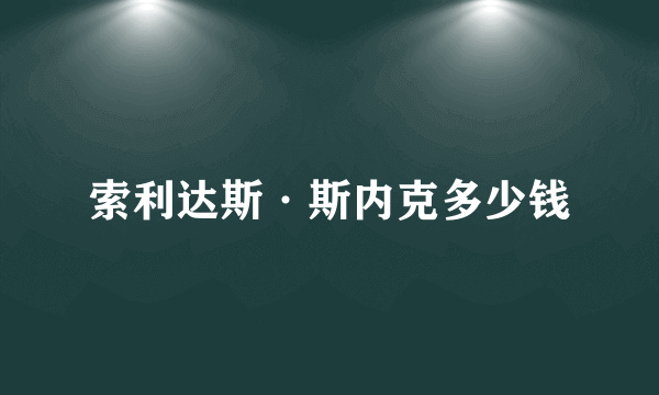 索利达斯·斯内克多少钱