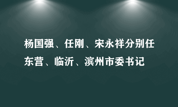 杨国强、任刚、宋永祥分别任东营、临沂、滨州市委书记