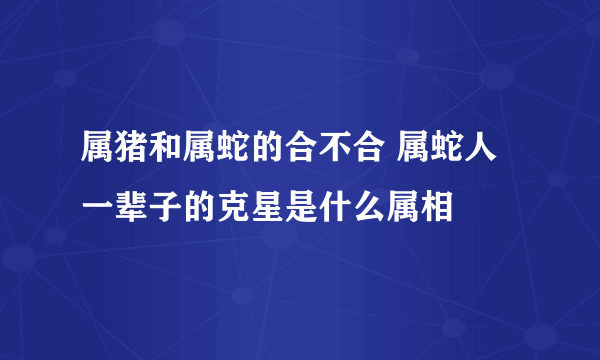 属猪和属蛇的合不合 属蛇人一辈子的克星是什么属相