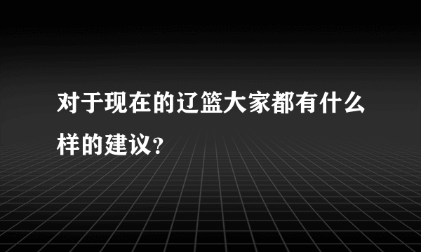 对于现在的辽篮大家都有什么样的建议？