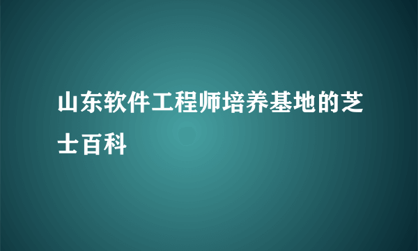 山东软件工程师培养基地的芝士百科