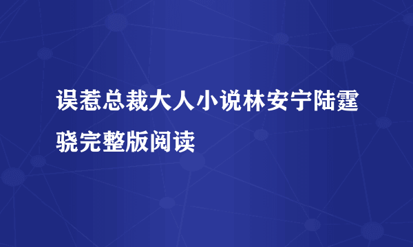 误惹总裁大人小说林安宁陆霆骁完整版阅读