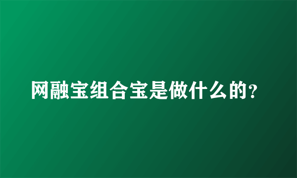 网融宝组合宝是做什么的？