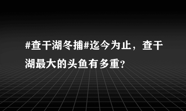 #查干湖冬捕#迄今为止，查干湖最大的头鱼有多重？