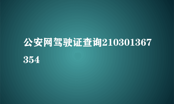 公安网驾驶证查询210301367354