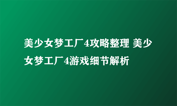 美少女梦工厂4攻略整理 美少女梦工厂4游戏细节解析