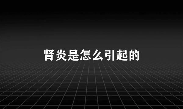 肾炎是怎么引起的