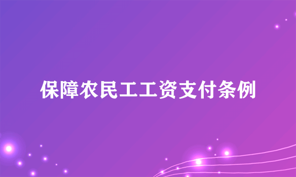 保障农民工工资支付条例