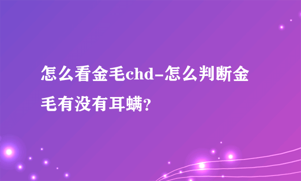 怎么看金毛chd-怎么判断金毛有没有耳螨？