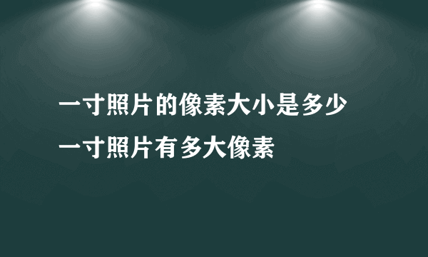 一寸照片的像素大小是多少 一寸照片有多大像素