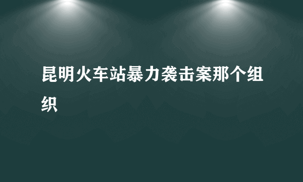 昆明火车站暴力袭击案那个组织