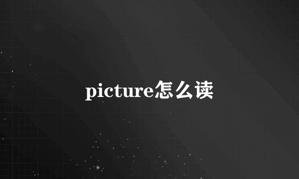 picture怎么读