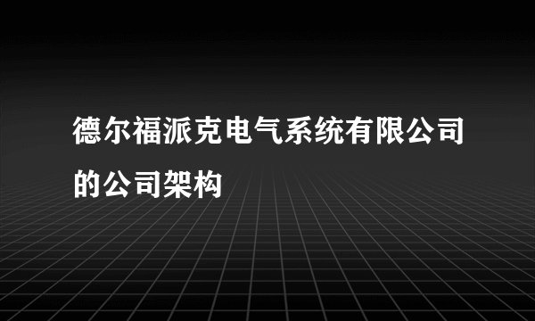 德尔福派克电气系统有限公司的公司架构