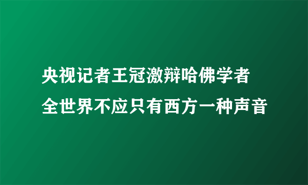 央视记者王冠激辩哈佛学者 全世界不应只有西方一种声音