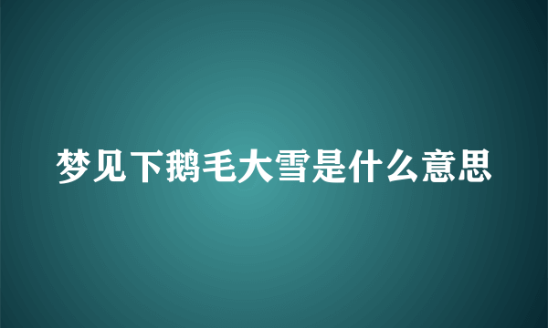 梦见下鹅毛大雪是什么意思