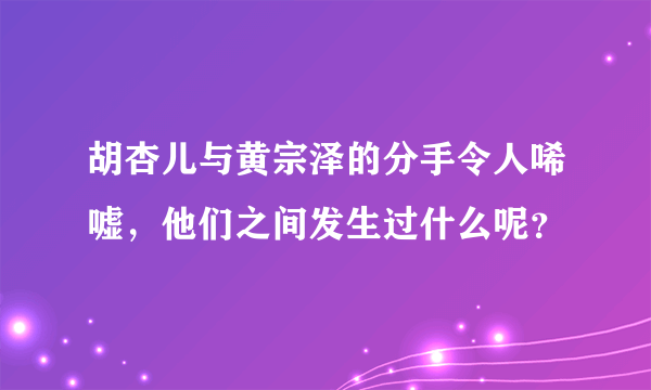 胡杏儿与黄宗泽的分手令人唏嘘，他们之间发生过什么呢？