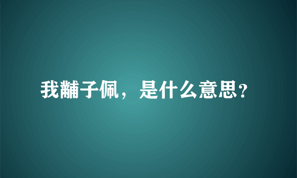 我黼子佩，是什么意思？