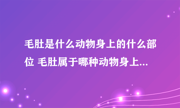 毛肚是什么动物身上的什么部位 毛肚属于哪种动物身上的啥部位