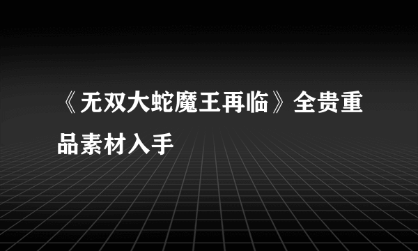 《无双大蛇魔王再临》全贵重品素材入手