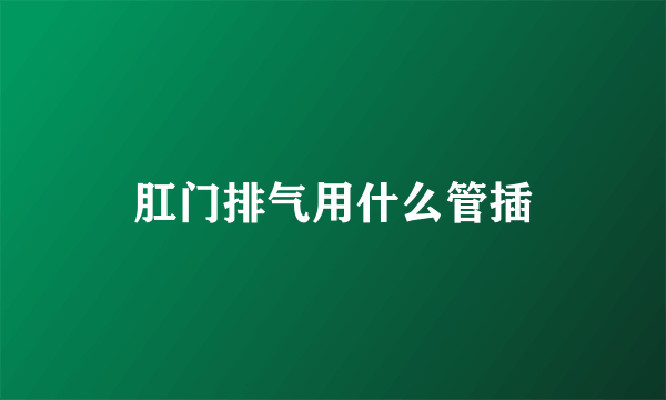 肛门排气用什么管插