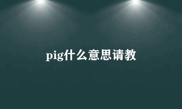 pig什么意思请教