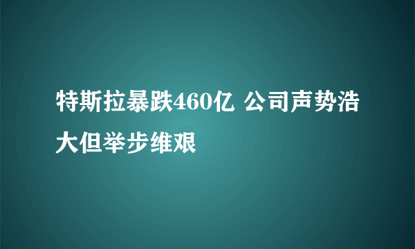 特斯拉暴跌460亿 公司声势浩大但举步维艰